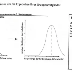 Diagramm zeigt transformierende Selektion bei Schwarzottern. Größere Tiere haben höhere reproduktive Fitness, da sie Aga-Kröten besser verdauen.