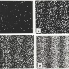 Bilder zeigen die Entwicklung von Interferenzen am Doppelspalt: von einzelnen Punkten zu Streifenmustern.