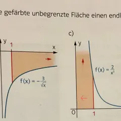 Grafiken a-d zeigen Flächen unter Kurven, die zur Untersuchung uneigentlicher Integrale dienen.