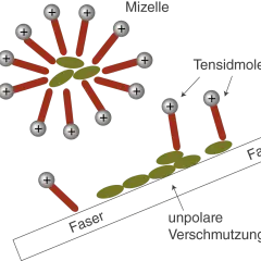Tensidmoleküle bilden Mizellen in Wasser und binden an unpolare Verschmutzung auf Fasern. Sie sind amphiphil.