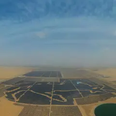 Weites Feld mit Solarmodulen in China, das die Kraft der Sonne nutzt. Ein riesiger Solarpark erstreckt sich über die Wüste.