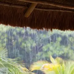 Starker Regen fällt unter einem Strohdach. Palmenblätter und grüne Bäume sind im Hintergrund verschwommen. Das ist ein typisches Bild, wenn man fragt: was ist ein Monsun.