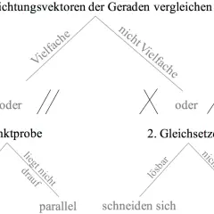 Vergleich von Richtungsvektoren im Raum: parallele, identische, sich schneidende oder windschiefe Geraden.