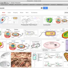 Bilder zeigen den Aufbau von Prokaryoten, wie Bakterien, mit ihren Zellbestandteilen.