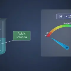 Becherglas mit saurer Lösung, die den pH-Wert anzeigt. Dies illustriert die autoprotolyse des Wassers, bei der H+ Ionen entstehen.