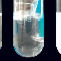 Drei Reagenzgläser: eines mit klarer Flüssigkeit, eines mit sprudelnder Flüssigkeit und eines mit trüber, weißer Flüssigkeit.