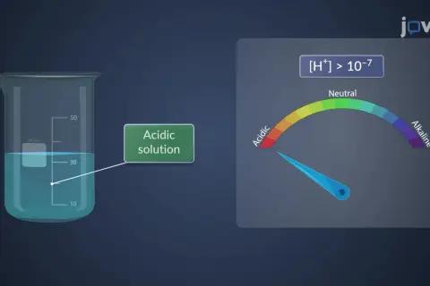 Becherglas mit saurer Lösung, die den pH-Wert anzeigt. Dies illustriert die autoprotolyse des Wassers, bei der H+ Ionen entstehen.