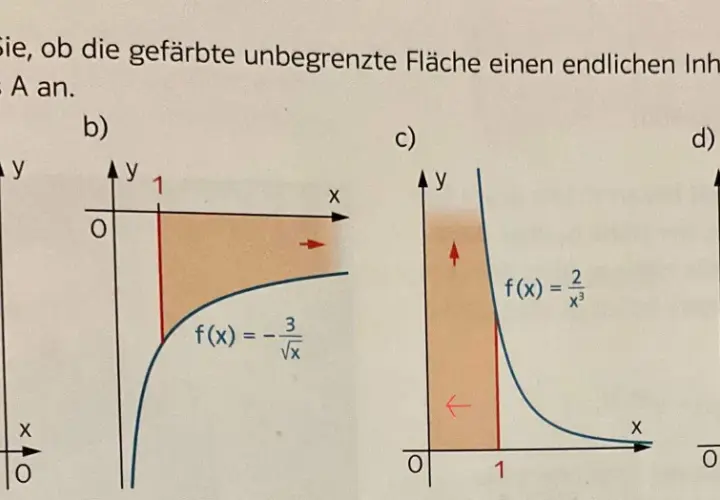 Grafiken a-d zeigen Flächen unter Kurven, die zur Untersuchung uneigentlicher Integrale dienen.