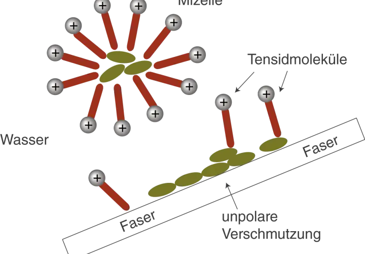 Tensidmoleküle bilden Mizellen in Wasser und binden an unpolare Verschmutzung auf Fasern. Sie sind amphiphil.