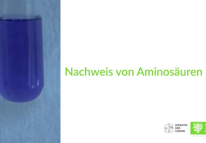 Reagenzglas mit violetter Flüssigkeit, Ergebnis der Ninhydrin-Reaktion zum Nachweis von Aminosäuren.