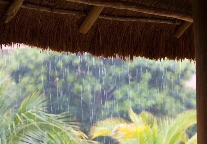 Starker Regen fällt unter einem Strohdach. Palmenblätter und grüne Bäume sind im Hintergrund verschwommen. Das ist ein typisches Bild, wenn man fragt: was ist ein Monsun.