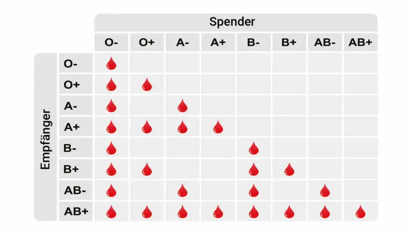 Tabelle zeigt die Vererbung von Blutgruppen. Rote Tropfen markieren kompatible Spender für Empfänger.