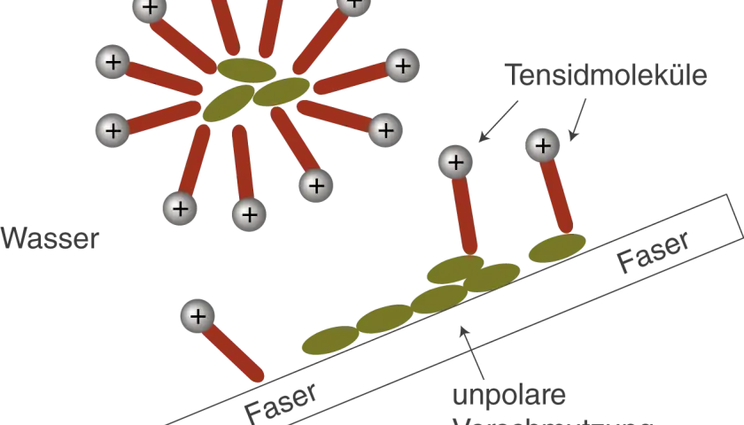 Tensidmoleküle bilden Mizellen in Wasser und binden an unpolare Verschmutzung auf Fasern. Sie sind amphiphil.