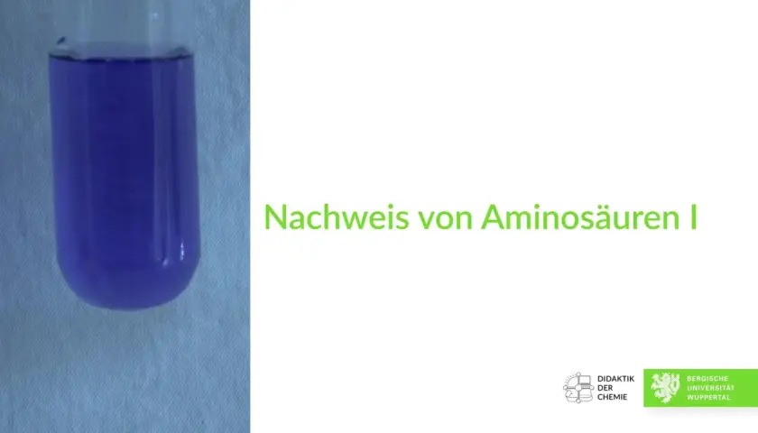 Reagenzglas mit violetter Flüssigkeit, Ergebnis der Ninhydrin-Reaktion zum Nachweis von Aminosäuren.