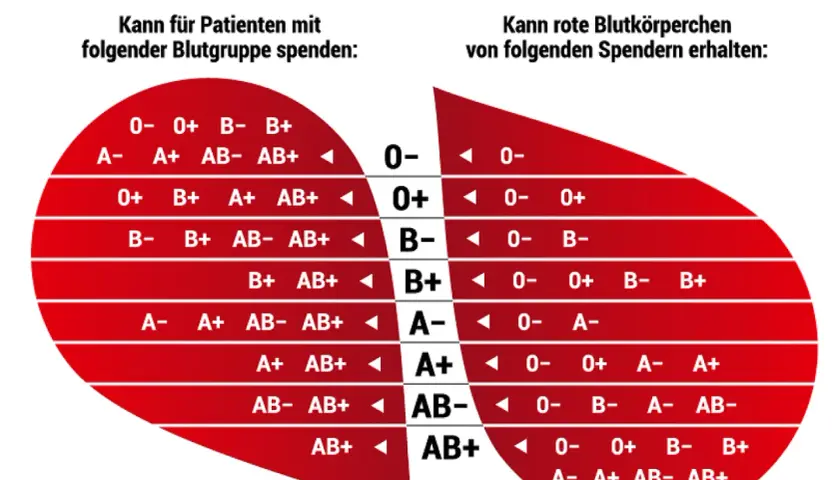 Blutgruppenkompatibilität: Patienten mit Blutgruppe 0- können von allen Spendern erhalten. Eltern mit Blutgruppe 0- können Kinder mit jeder Blutgruppe haben.