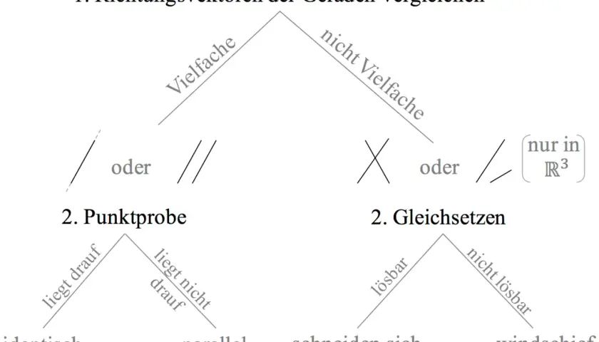 Vergleich von Richtungsvektoren im Raum: parallele, identische, sich schneidende oder windschiefe Geraden.