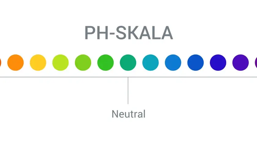 Die PH-Skala zeigt mit Farbverlauf von Rot (sauer) über Grün (neutral) bis Violett (alkalisch) die PH wert definition.