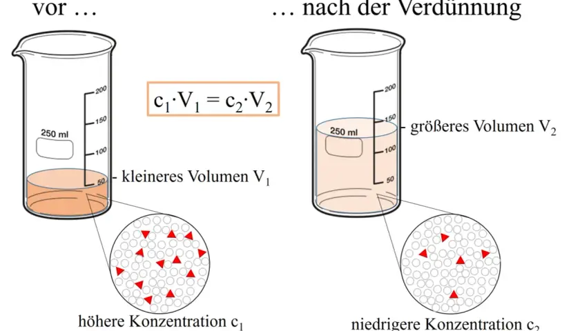 Vor und nach der Verdünnung: zwei Bechergläser zeigen, wie man die Konzentration berechnen kann. Die Formel c₁V₁ = c₂V₂ erklärt die Verdünnung.
