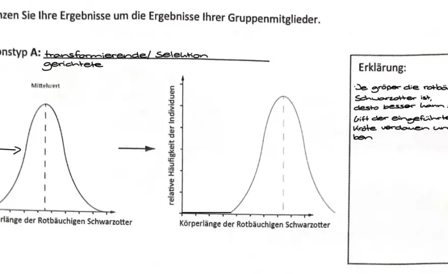 Reproduktive Fitness erklärt - so wirkt natürliche Selektion