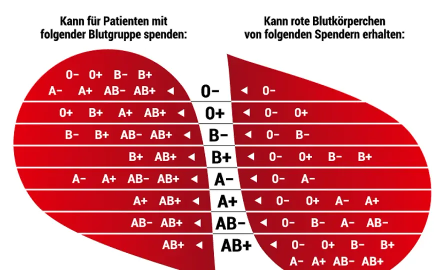 Kann ein Kind Blutgruppe 0 haben? So funktioniert die Vererbung