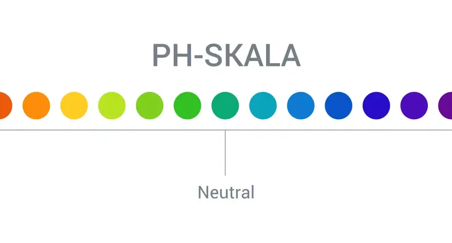 pH-Wert verstehen - Skala, Messung und typische Fehler