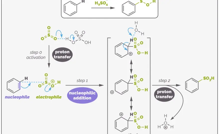 Elektrophile aromatische Substitution verstehen und anwenden