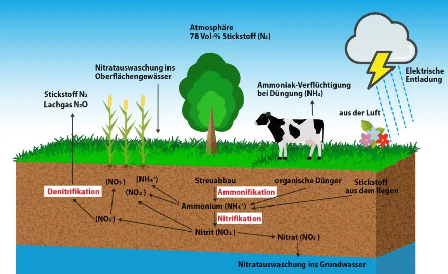 Stickstoff erklärt - Luft, Leben und Technik im Überblick