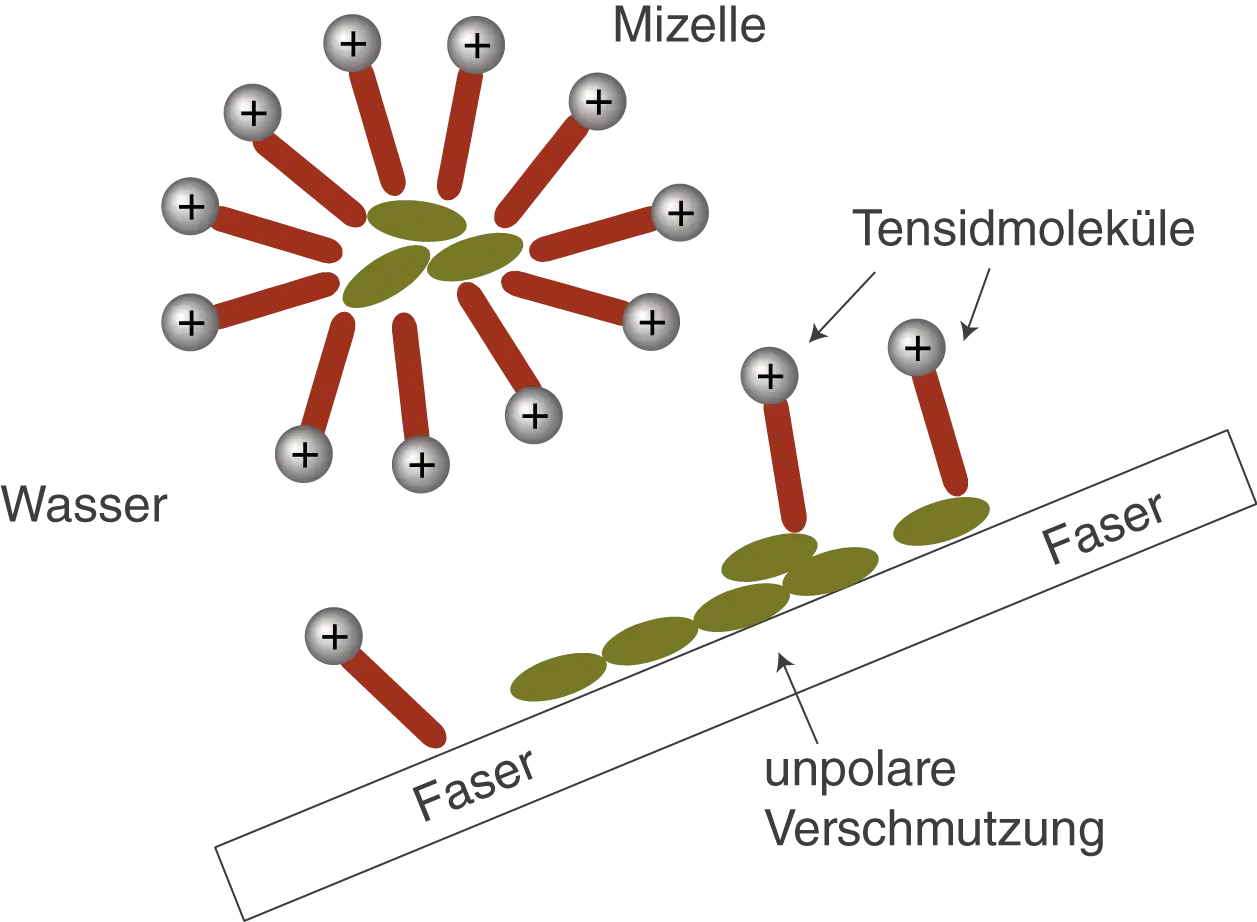 Tensidmoleküle bilden Mizellen in Wasser und binden an unpolare Verschmutzung auf Fasern. Sie sind amphiphil.