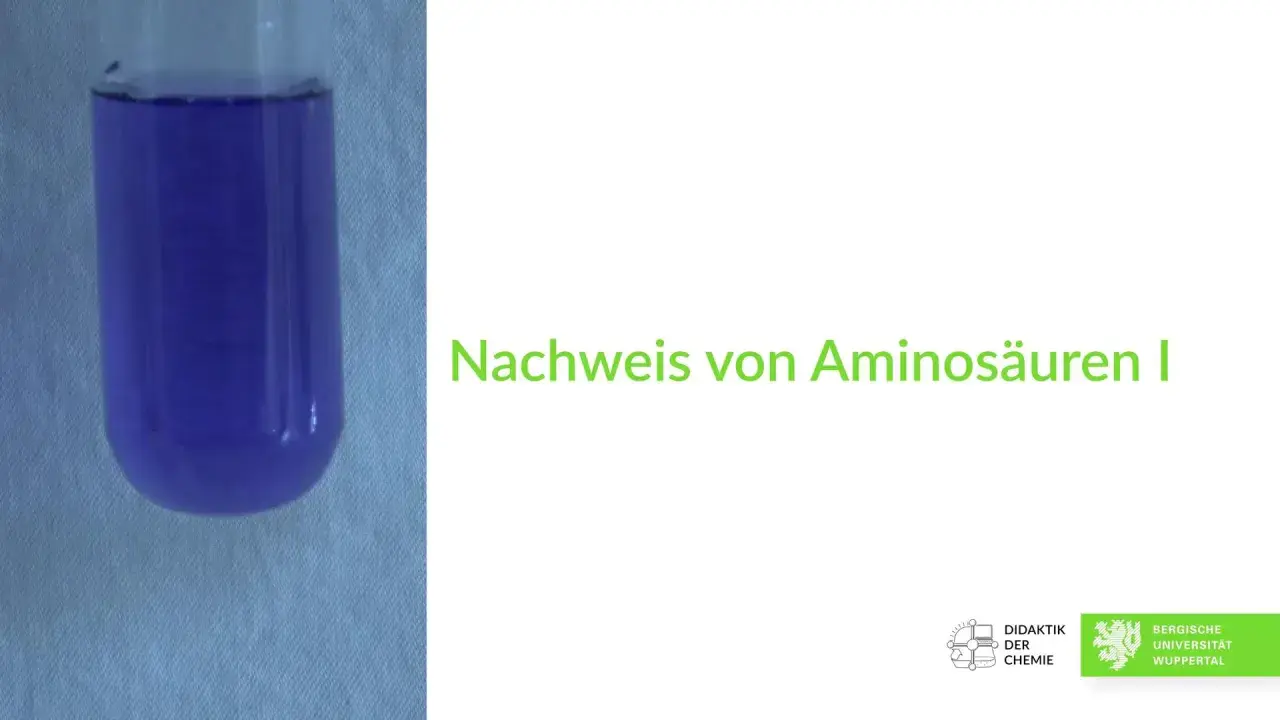 Reagenzglas mit violetter Flüssigkeit, Ergebnis der Ninhydrin-Reaktion zum Nachweis von Aminosäuren.