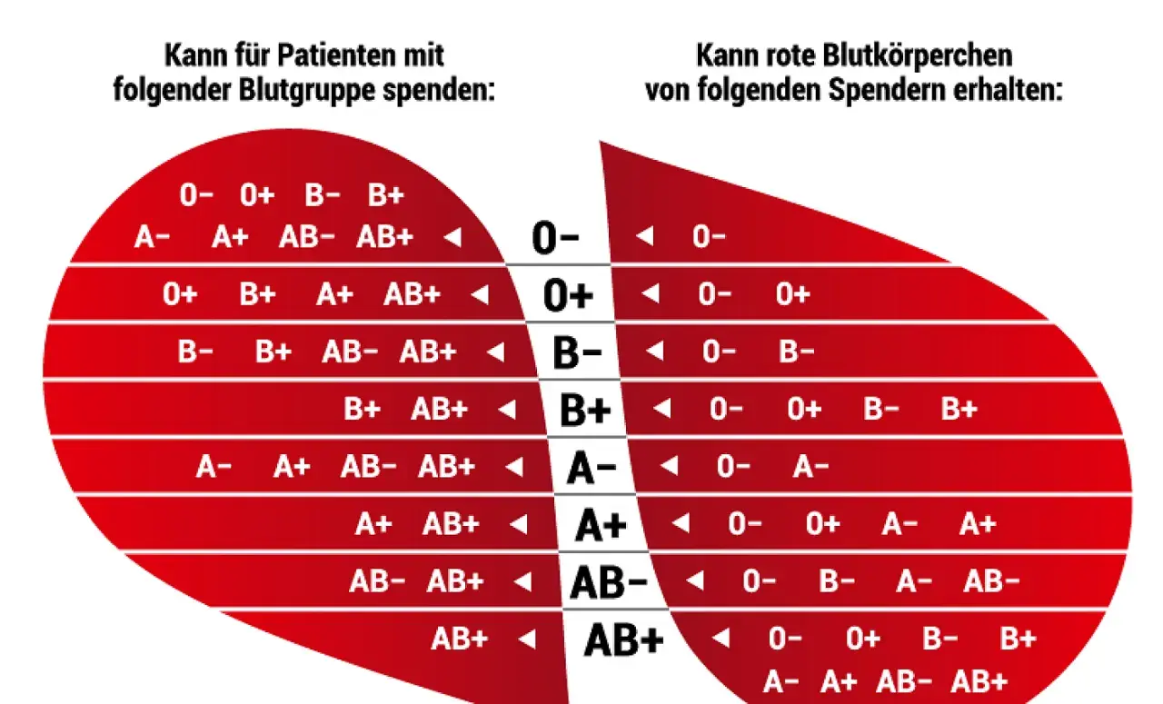 Blutgruppenkompatibilität: Patienten mit Blutgruppe 0- können von allen Spendern erhalten. Eltern mit Blutgruppe 0- können Kinder mit jeder Blutgruppe haben.