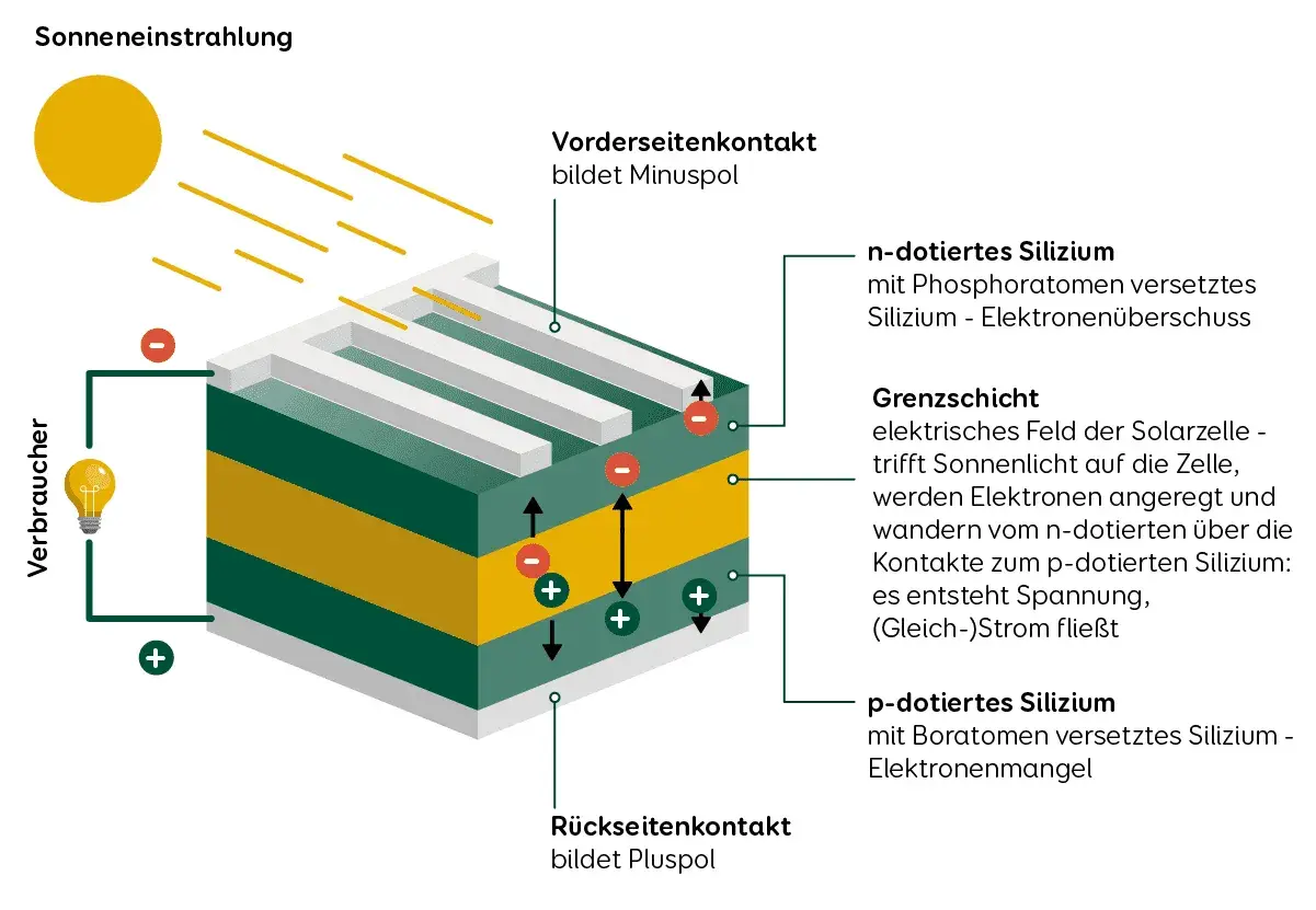 Die Grafik erklärt, wie funktioniert eine solarzelle: Sonnenlicht trifft auf Siliziumschichten, regt Elektronen an, die dann einen Stromfluss erzeugen, der eine Glühbirne zum Leuchten bringt.
