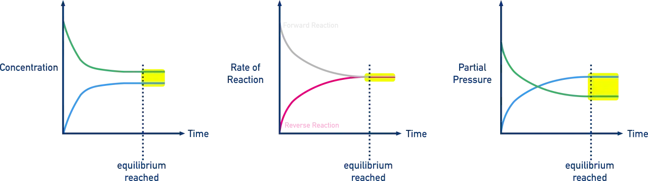 Diagramme zeigen Konzentration, Reaktionsgeschwindigkeit und Partialdruck &uuml;ber die Zeit, illustrierend das Massenwirkungsgesetz Chemie im Gleichgewicht.