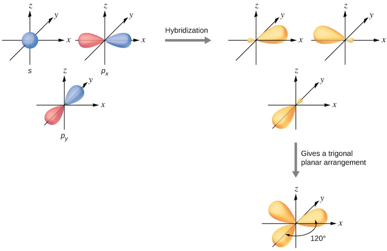 Die sp Hybridisierung zeigt, wie sich s- und p-Orbitale zu neuen, gleichwertigen Orbitalen formen, die eine trigonale planare Anordnung mit 120&deg; Winkeln bilden.