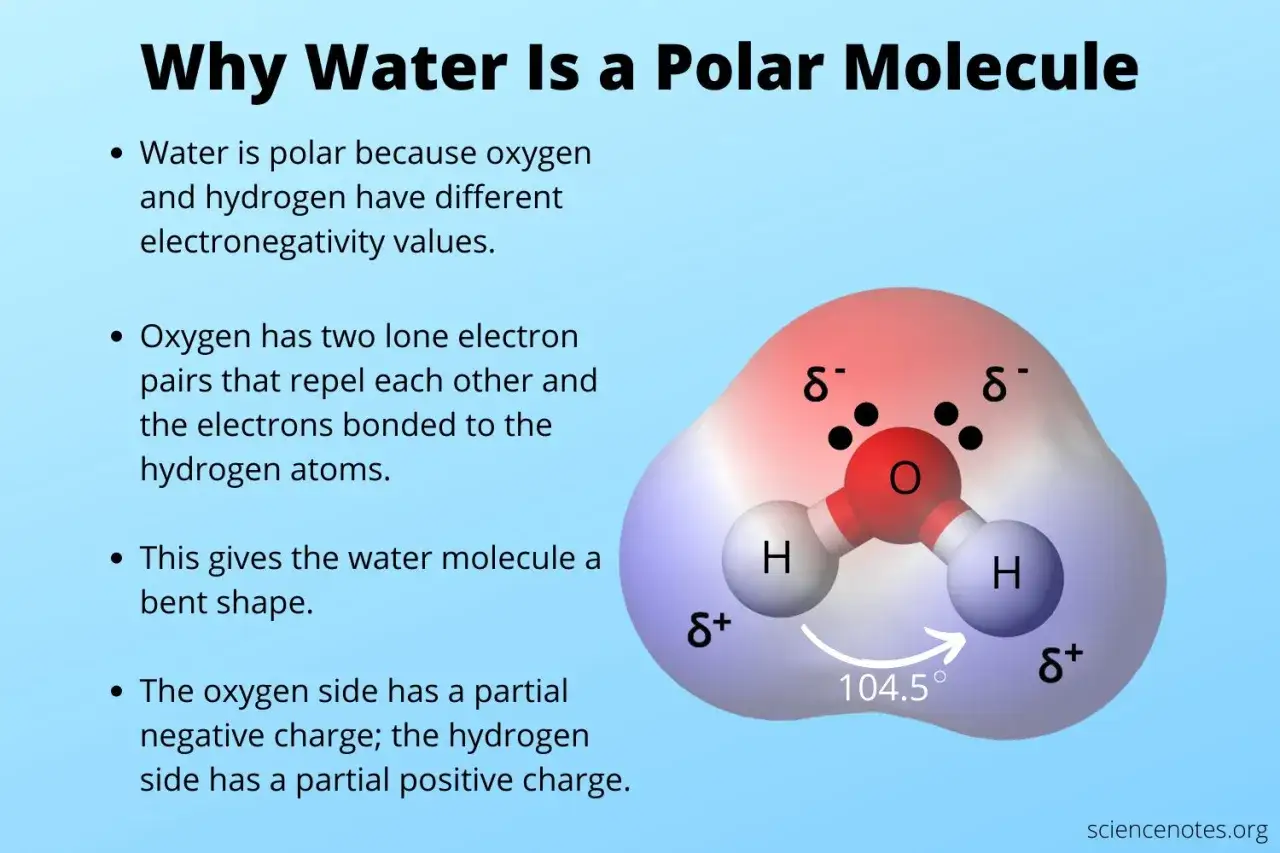 Wasser-Molekül mit polaren Atombindungen: Sauerstoff (rot) mit negativer Teilladung (δ⁻), Wasserstoff (blau) mit positiver Teilladung (δ⁺).