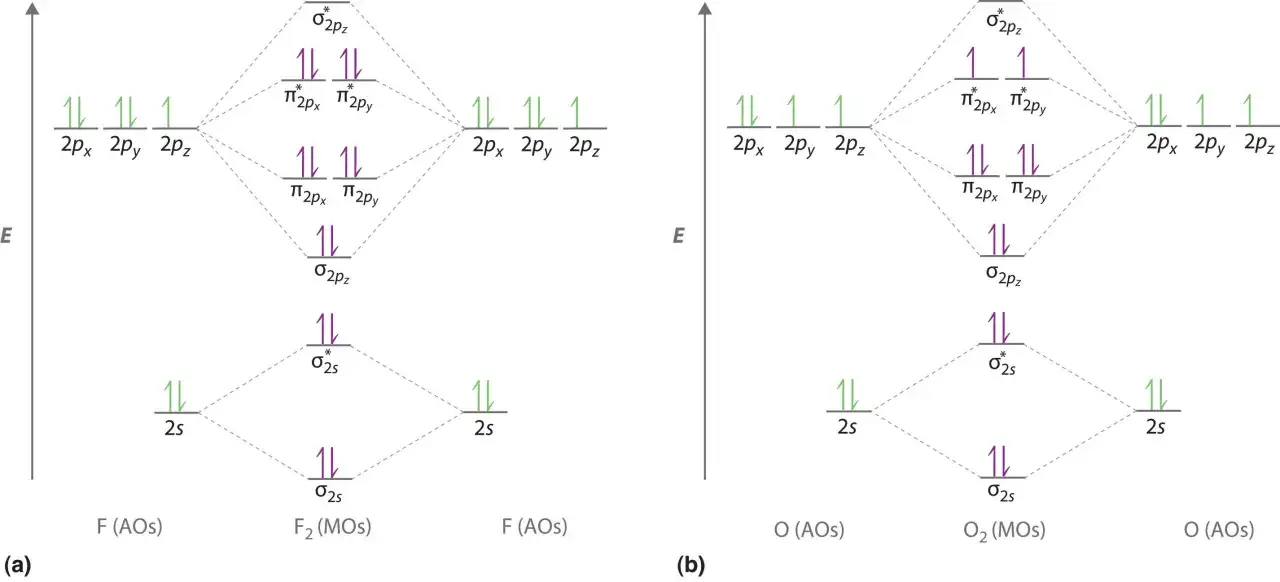 Diagramme der molekularen Orbitale für F₂ und O₂. Zeigt die Bildung von Bindungen durch die Überlappung von Atomorbitalen, ein Kernkonzept der orbitalen Chemie.