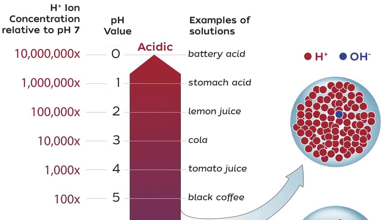 Die pH-Wert-Definition: Eine Skala zeigt, wie sauer oder basisch L&ouml;sungen sind, basierend auf der H+-Ionen-Konzentration. Beispiele: Batterie- und Magens&auml;ure.