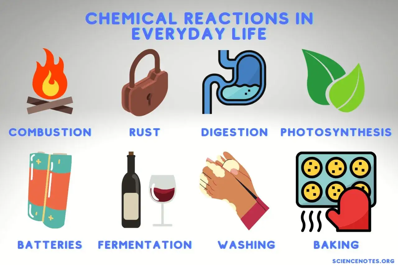 Chemische Reaktionen im Alltag: Feuer, Rost, Verdauung, Photosynthese, Batterien, Gärung, Waschen und Backen.