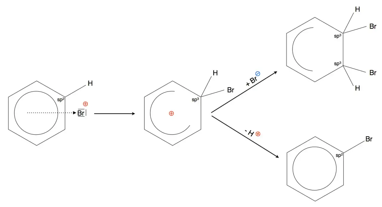 Benzolring reagiert mit Br+ in einer elektrophilen Substitution. Ein H wird durch Br ersetzt, was zu Brombenzol f&uuml;hrt.